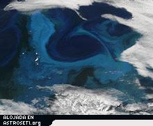 Esta imagen en color real del proyecto Tierra Visible de la NASA muestra un florecimiento de fitoplancton frente a la isla de Georgia del Sur en enero de 2004. Los investigadores han descubierto una relación aparente entre estos florecimientos y el aumento de la cubierta de nubes.
Crédito: NASA