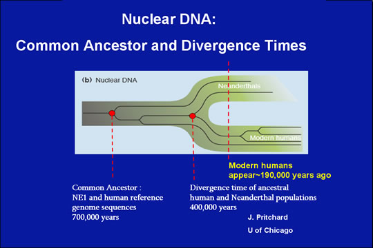 diferenciacin_humano_moderno_y_neanderthal