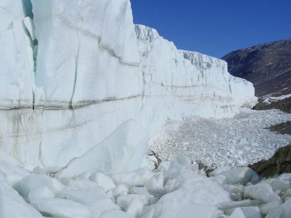 Imagen de Cómo las bacterias del permafrost y los glaciares sobreviven a la congelación