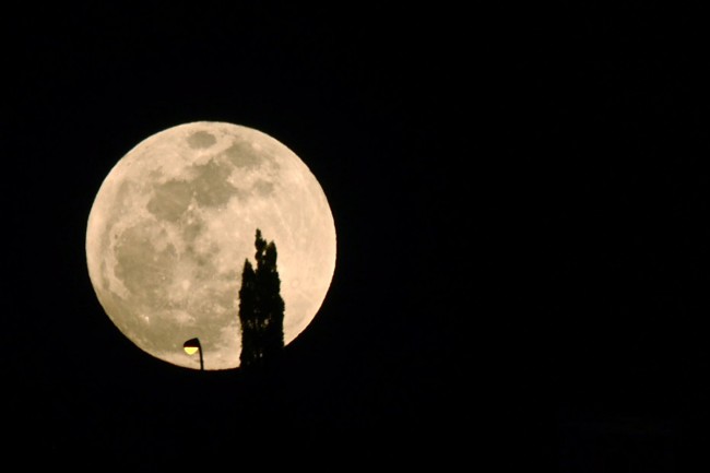 Imagen de ¿Por qué la Luna parece más grande en el horizonte?