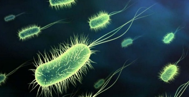 Imagen de ¿Cómo los microbios pueden sobrevivir a la congelación?
