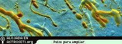 Pinche <a href=http://www.planetary.org/image/themis_lavachannels.jpg>aqu�</a> para agrandar