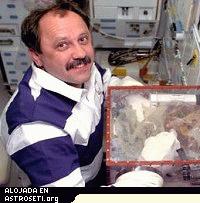El Cosmonauta Yury V. Usachev trabajando con un globebox mas antiguo y peque�o que el MSG a bordo del trasbordador espacial Atlantis.