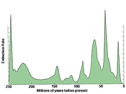 Un diagrama de datos sobre las extinciones en masa.Crdito: University of Chicago