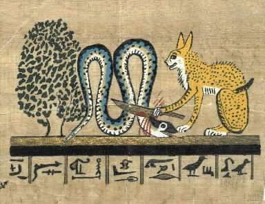 �gato_matando_a_Apep�