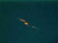 Esta secuencia de fotografas fue tomada por Ewald Lemke (Atlin Realty, Atlin, Columbia britnica) el 18 de Enero de 2000. Muestra como se expande la estela de humo del meteoro del Yukon, en un periodo de 14 minutos. La primera toma muestra una estela de vapor rojo justo 1 minuto y 30 segundos despus del primer destello.