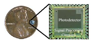 El circuito integrado microlumin�metro. Tama�o real 2 x 2 mm. [<A HREF= http://www.ceb.utk.edu/bioprimer.pdf target=_blank>M�s</A>] 