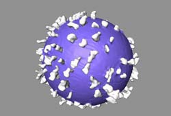 virus_del_HIV
