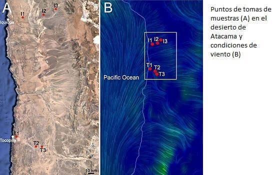 Los microbios del desierto de Atacama podrían tener pruebas de la vida en Marte