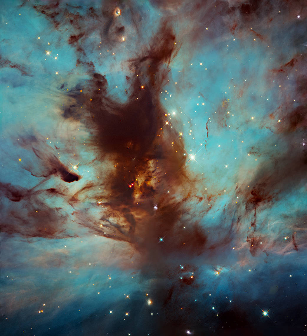 Remolinos de polvo en la Nebulosa de la Llama