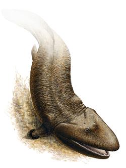 ”interpretación_artística_del_Tiktaalik”