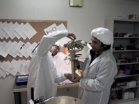 Rob Ligon y el dr. Gautam Vasisht ensamblando el rbol FATCAT, que es el soporte de los componentes pticos dentro del tanque de vaco. 
<a href="http://planetquest.jpl.nasa.gov/images/tree.jpg">Ampliar Imagen</a>