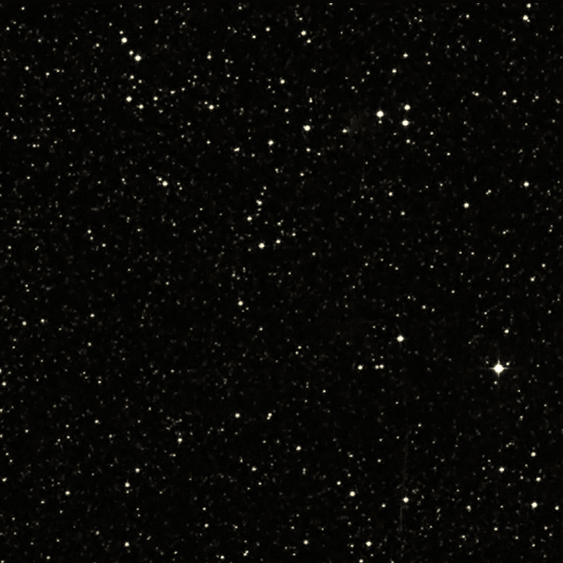 �G292.0+1.8�
