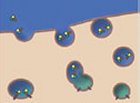 Nanopart�culas.