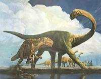 Pleurocoelus
