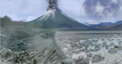 Los metabolismos más tempranos de las archaeas estaban basados en la reducción aneróbica del dióxido de carbono